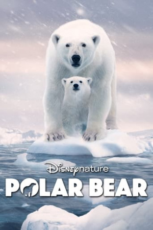 ดูหนังออนไลน์ฟรี Polar Bear โพล่าแบร์ (2022) พากย์ไทย